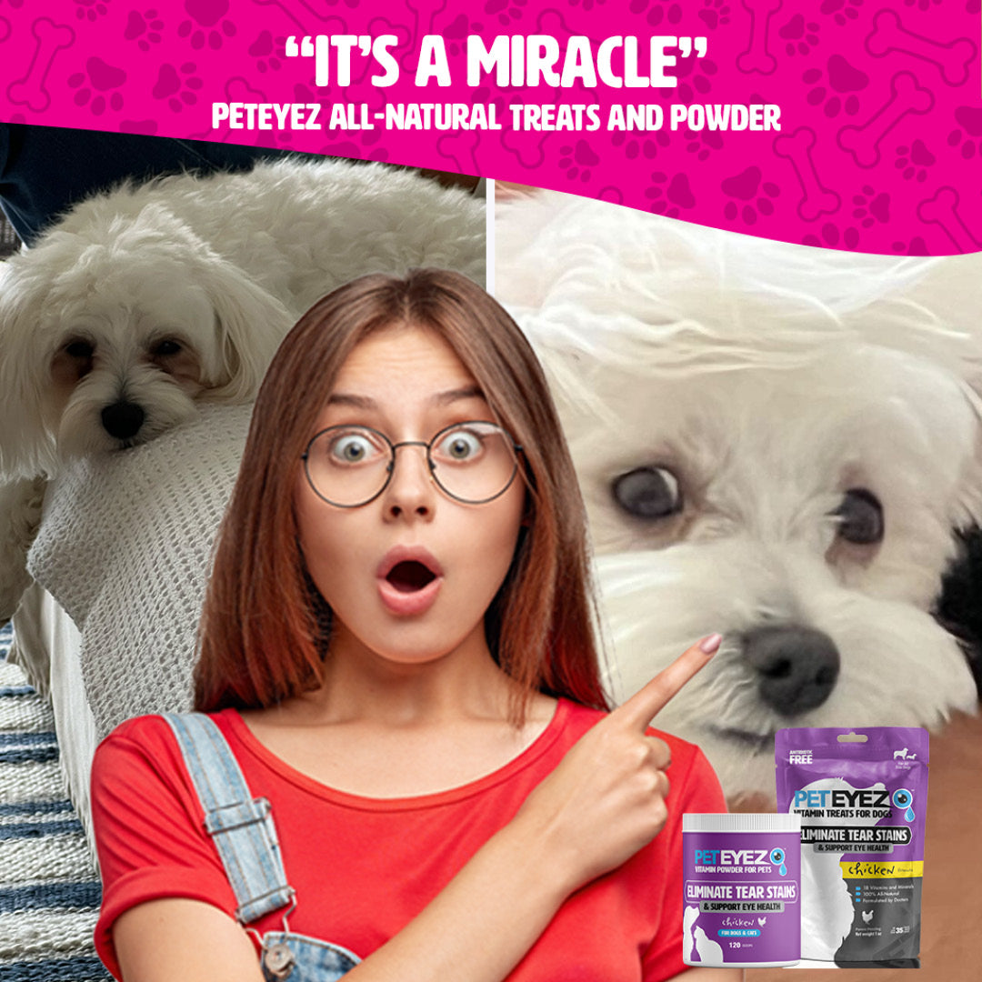 Chicken Combo Deal - Chicken Cat Treats + Chicken Powder
