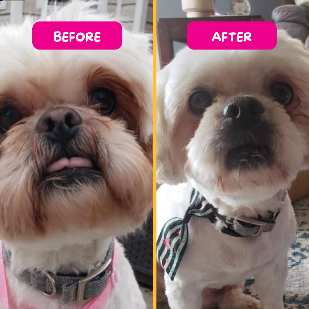 PetEyez™ Vitamin Treats for Dogs Lamb
