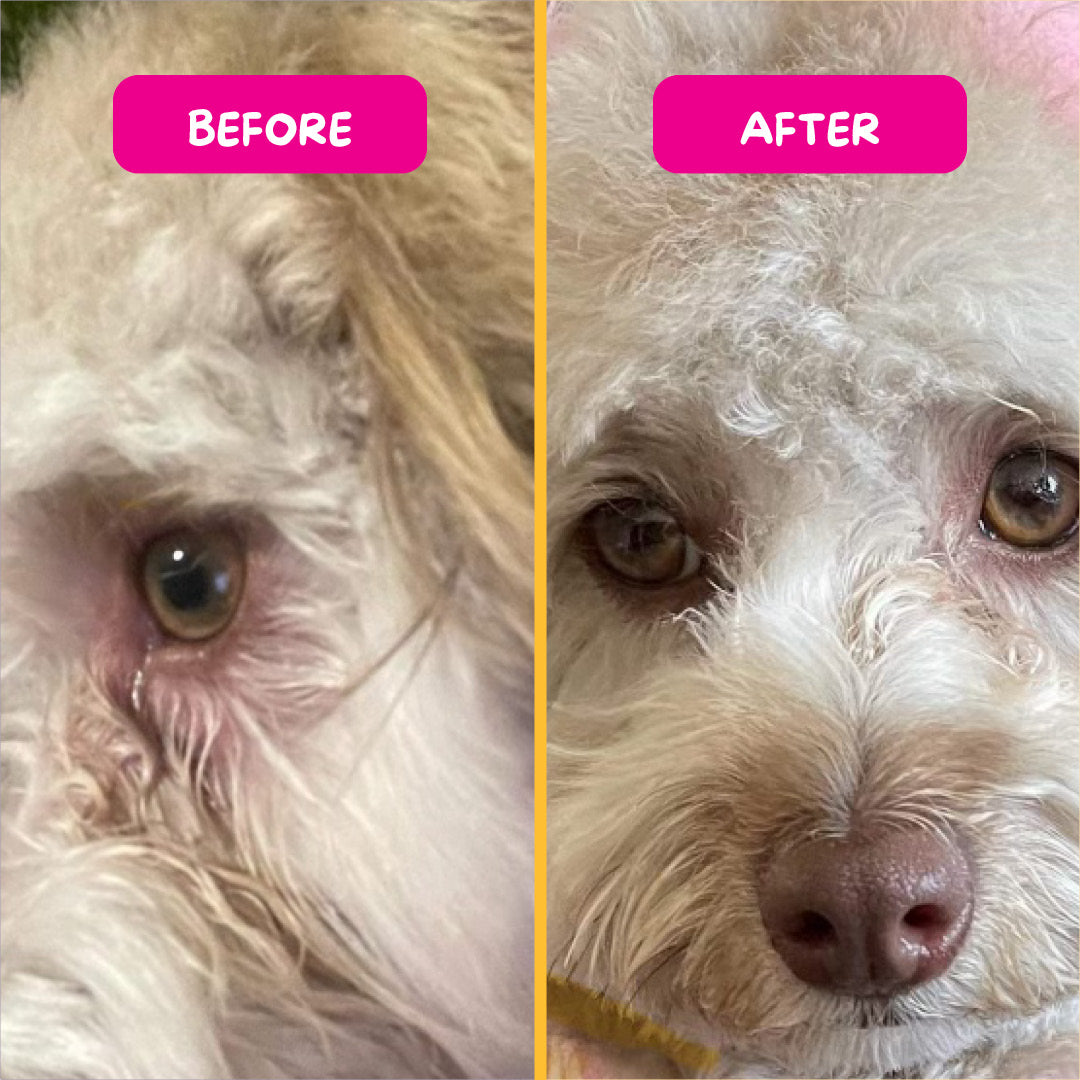 Pet Eyez™ Eye and Ear Wipes w/ HypoChlor + Whitefish Powder for Dogs and Cats
