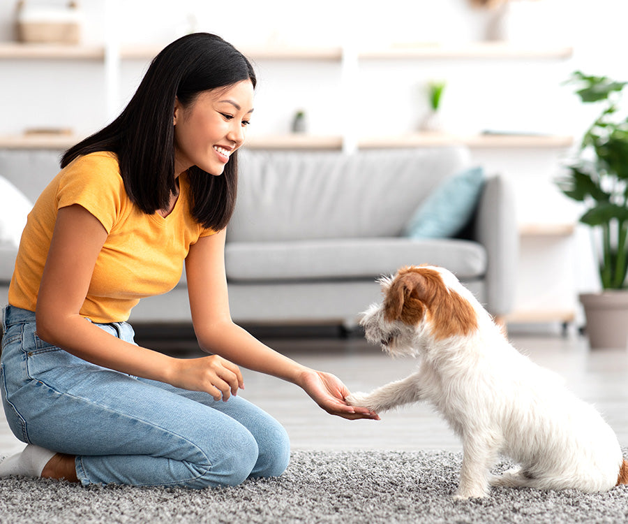 Pet Eyez™ Vitamin Treats for Dogs Chicken