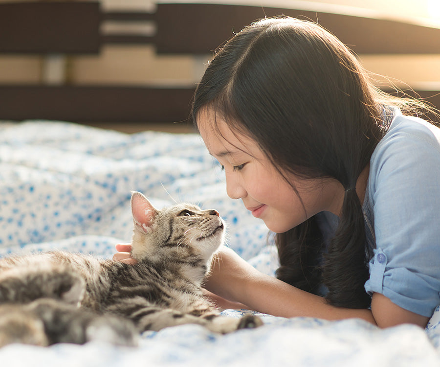 PetEyez™ Vitamin Treats for Cats Chicken