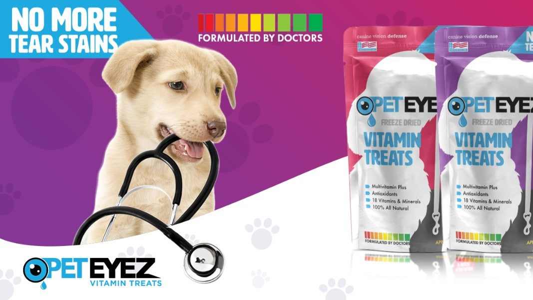 The Complete Guide to Pet Eyez™️ Vitamin Treats & How they are Changing the Pet Industry