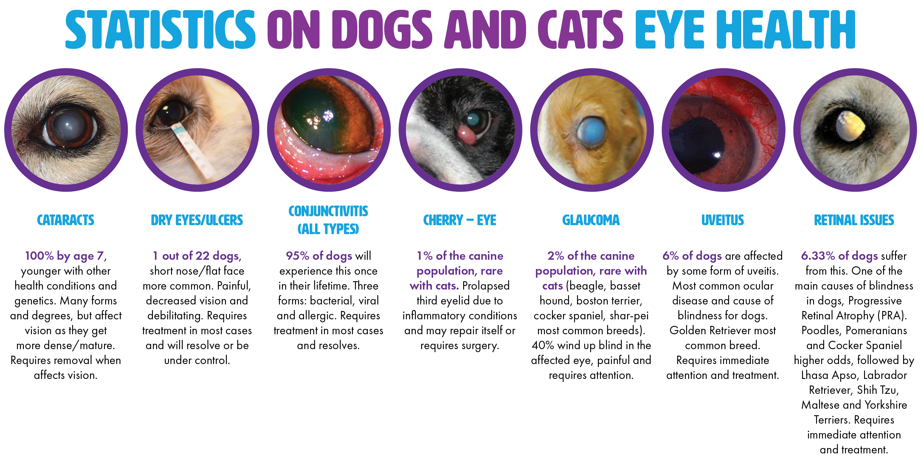 Pet Eyez™ Dog Eye Condition Chart